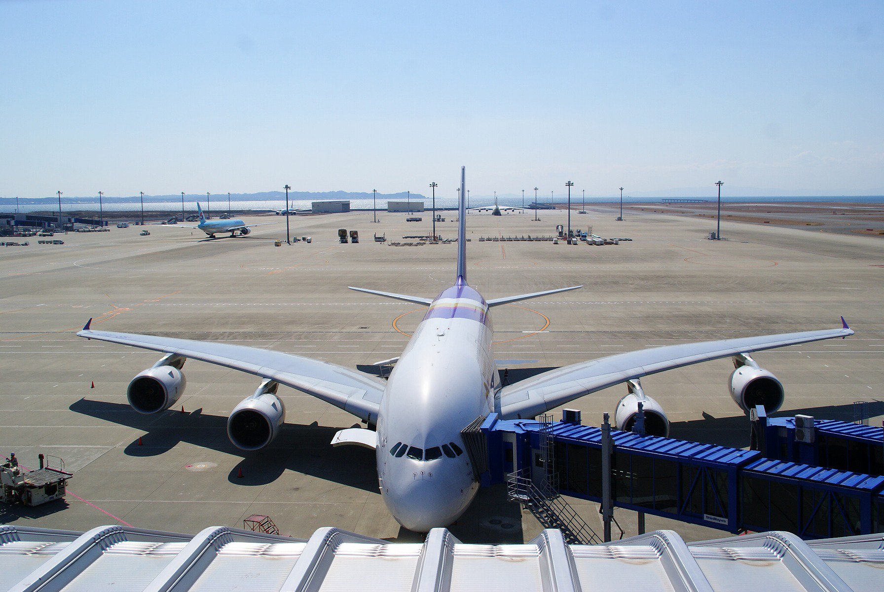 おた鉄 趣味垢 3 4 飛行機7 タイ国際航空 A360 中部国際空港セントレア Ngo A380がプッシュバック ロシアのアントノフとツーショット さらににユナイテッド航空もプッシュバック スターアライアンス タイ国際航空 A380 中部国際空港