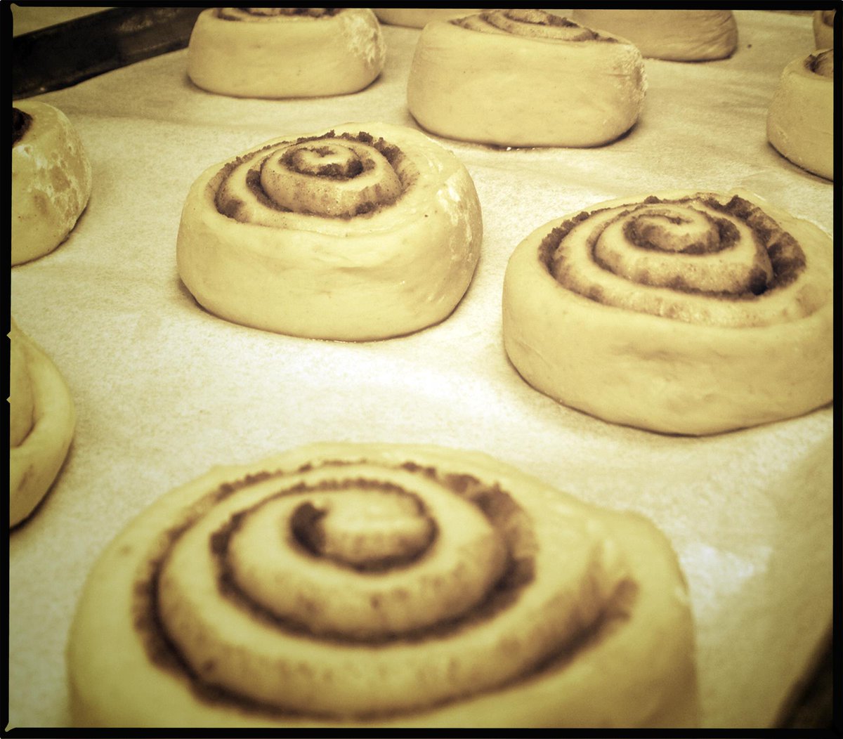 flourheadbakery's tweet image. Once again...
Rise &amp;amp; shine.  We&apos;ve risen... so come and see us at #TheTomatoHead

#brunch
#breadhumor
#Warm
#knoxneighbors