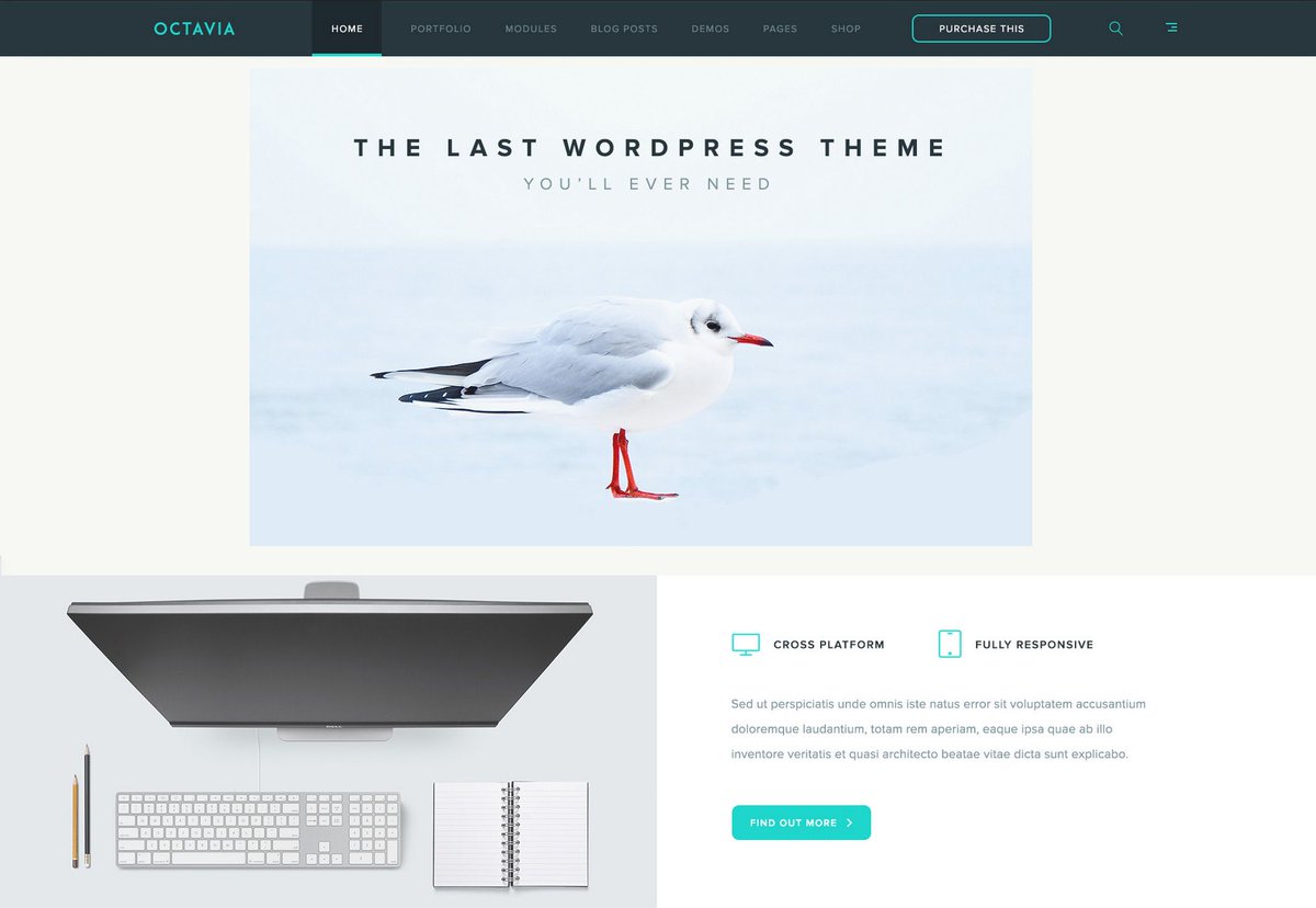 designtrendster's tweet photo. This one is a bit self-explanatory. A minimalist web design is a clutter-free #webdesign. https://t.co/DLNXWBTuPX #MinimalistDesign https://t.co/7erl4i9Bsr