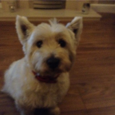 Dehiha's tweet photo. #NewProfilePic https://t.co/IXlUnVWKEU
