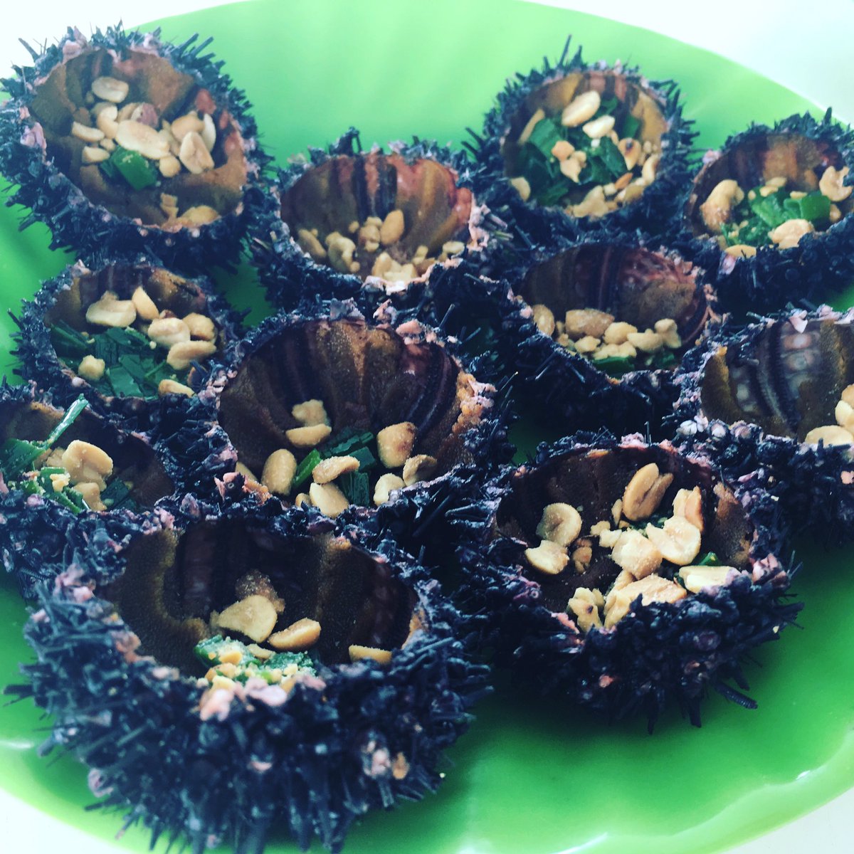 divagamer's tweet photo. #herestheseaurchins https://t.co/rdlZhDZEKq