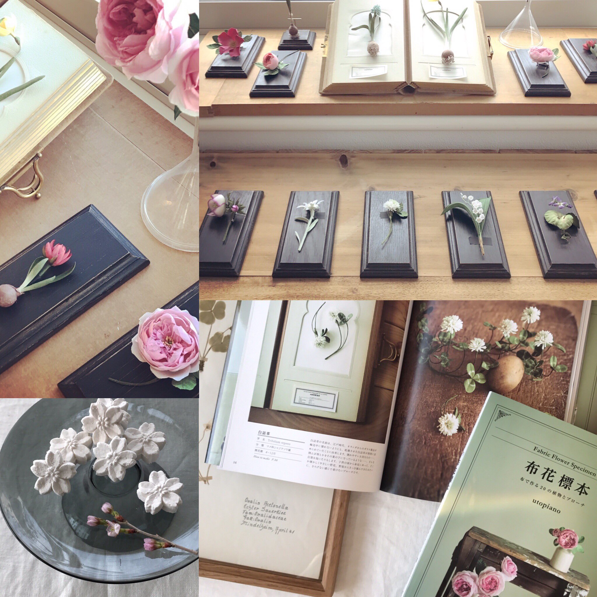 パトローネ Twitterissa 初めてのデモンストレーションワークショップに始まり1週間にわたって開催した 布花作家 Utopiano さんの 布花標本 布で作るの植物とブローチ 出版記念フェア 本日をもちまして終了いたします 大変多くのご来場ありがとうございました パトローネ Twitterissa 初めてのデモンストレーションワークショップに始まり1週間にわたって開催した 布花作家 Utopiano さんの 布花標本 布で作るの植物とブローチ 出版記念フェア 本日をもちまして終了いたします 大変多くのご来場ありがとうございました