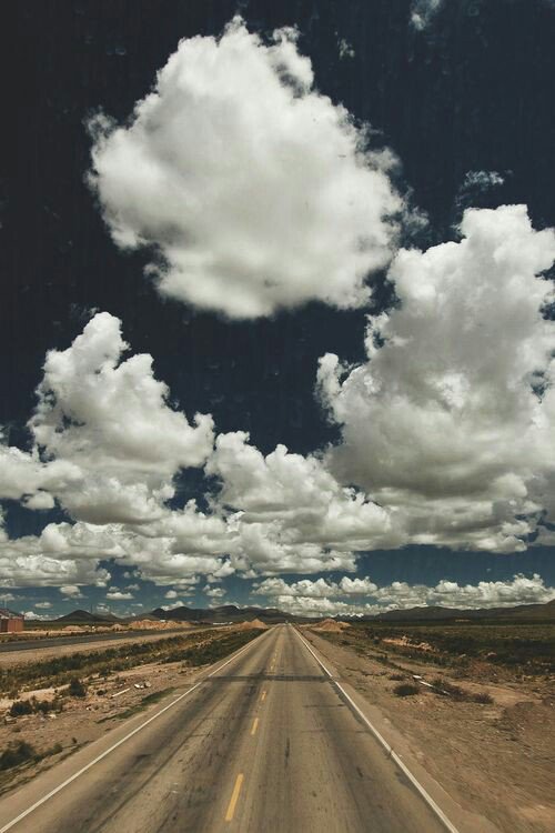 Papryka5's tweet photo. La mente ti mente improvvisamente e le strade che c'erano ieri non sono più niente.
Baricco

#RaccontareLaRealtà 
@CasaLettori @artdielle https://t.co/5mRppW2Ixw