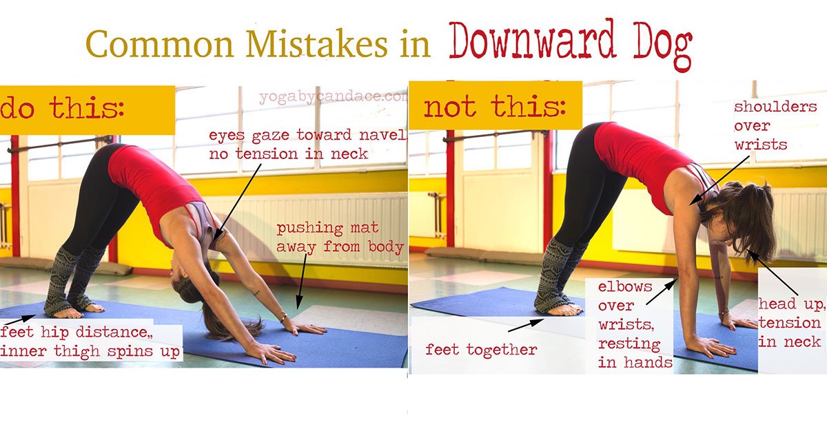 RT Get a good hamstring stretch with the simple downward dog pose ➡ ahealthblog.com/i8zq  #health #wellness