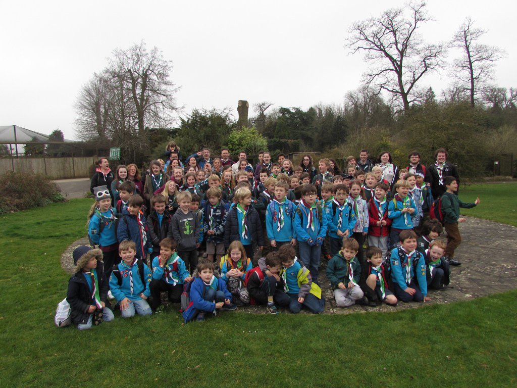 66th Bath (Weston Village) Scouts tweet media