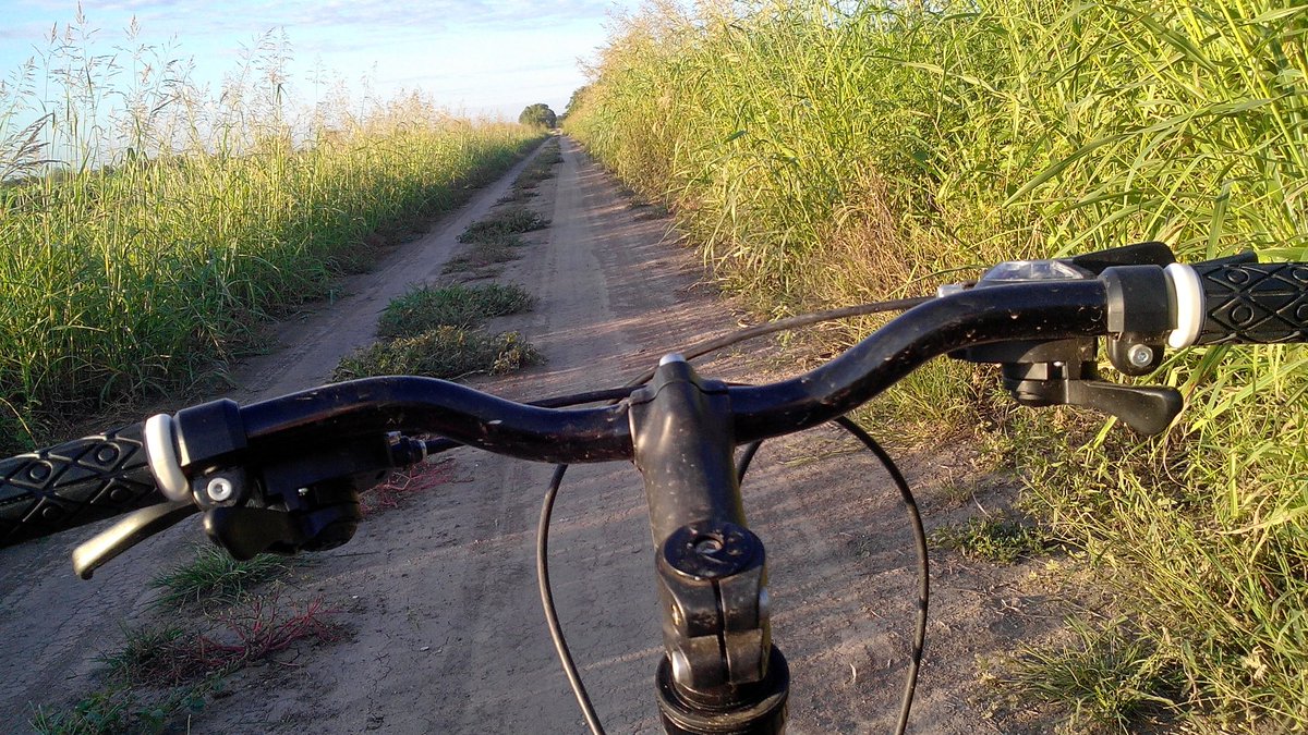 MUelizabeth's tweet photo. 🚵 https://t.co/LR1OUC0eOf