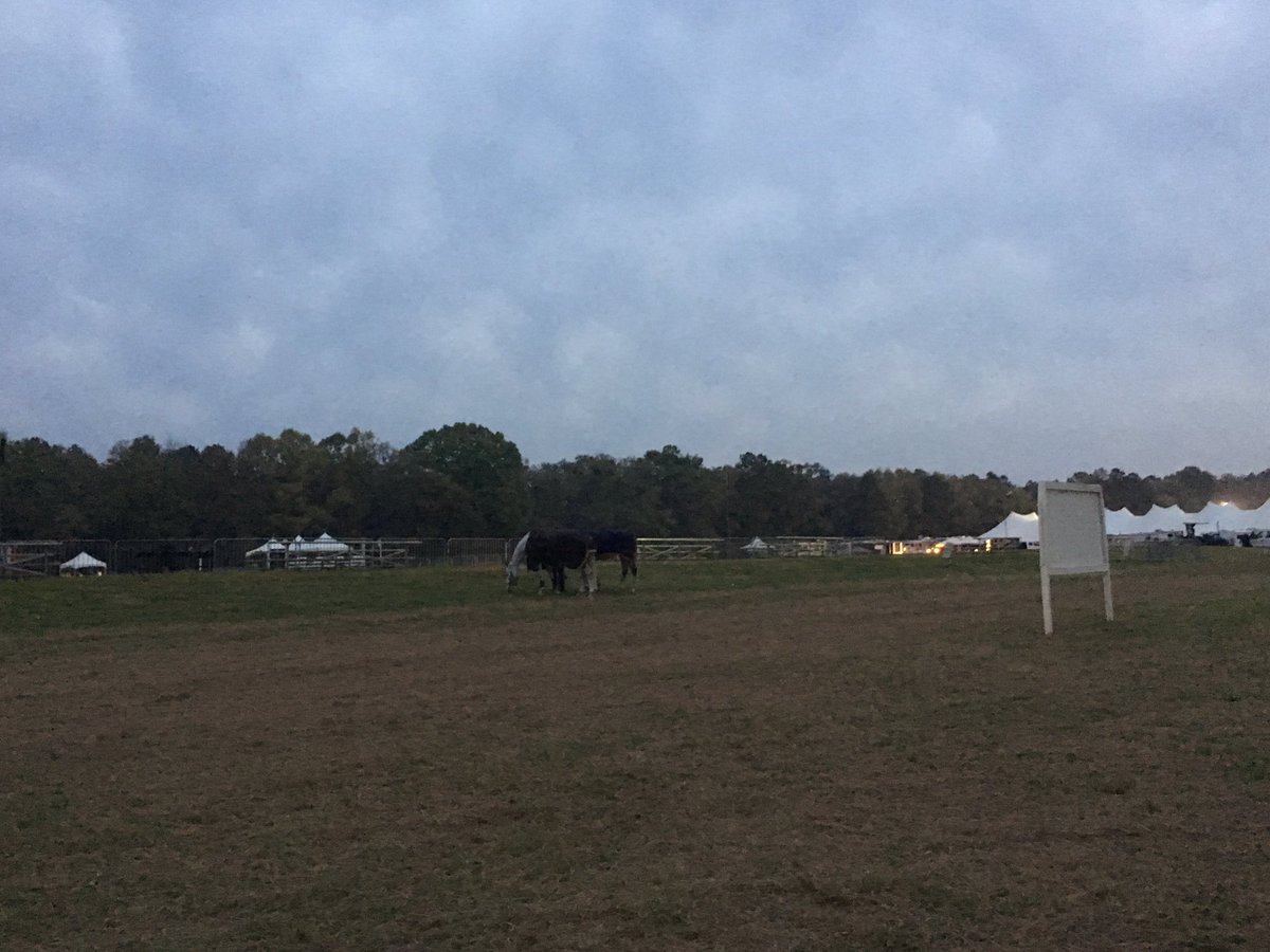 RedHillsHorseTrials tweet media