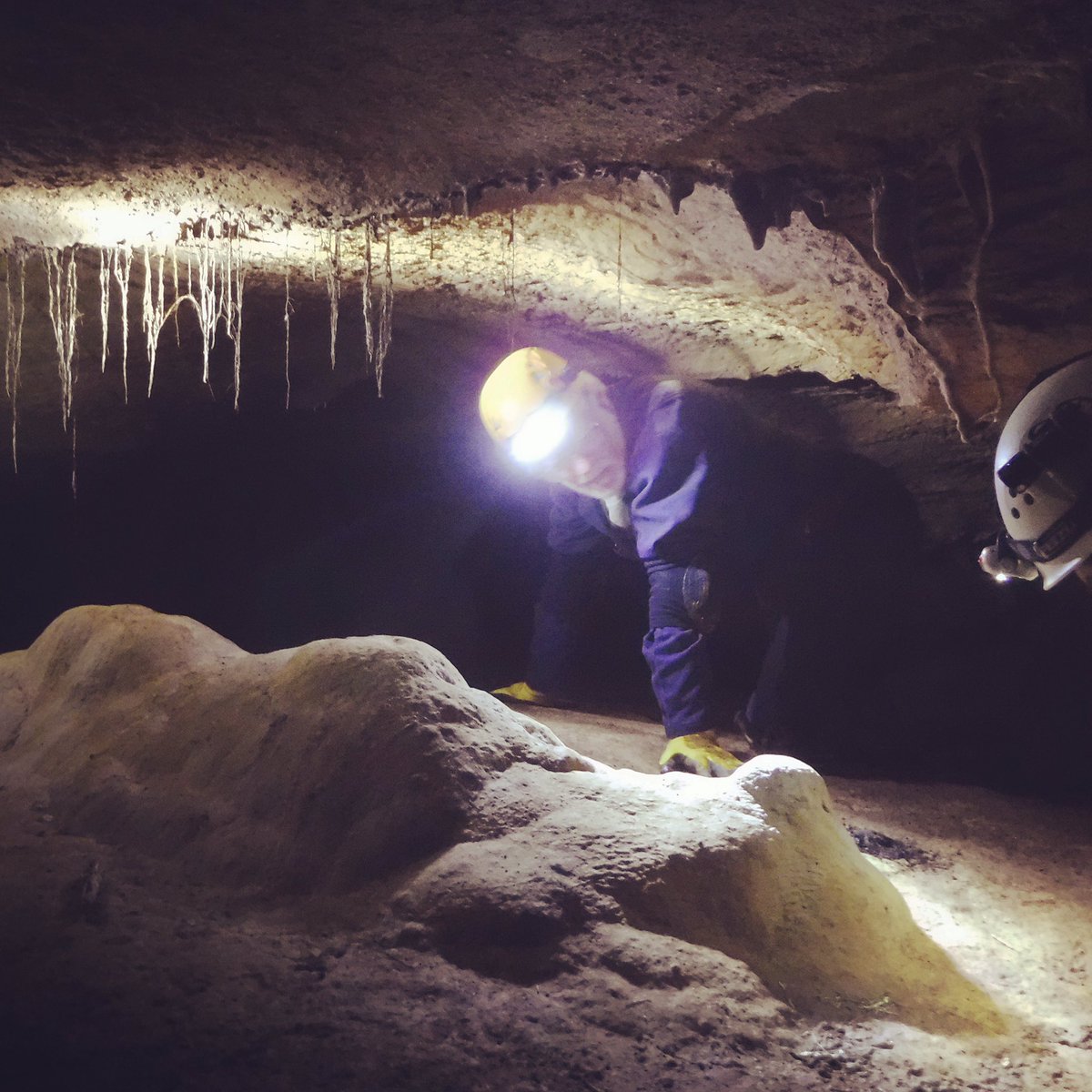 New CAIRN short on YouTube-this episode explores animal activity in a MO cave and how it relates to archaeology.
youtu.be/IE_n2Ged3rE