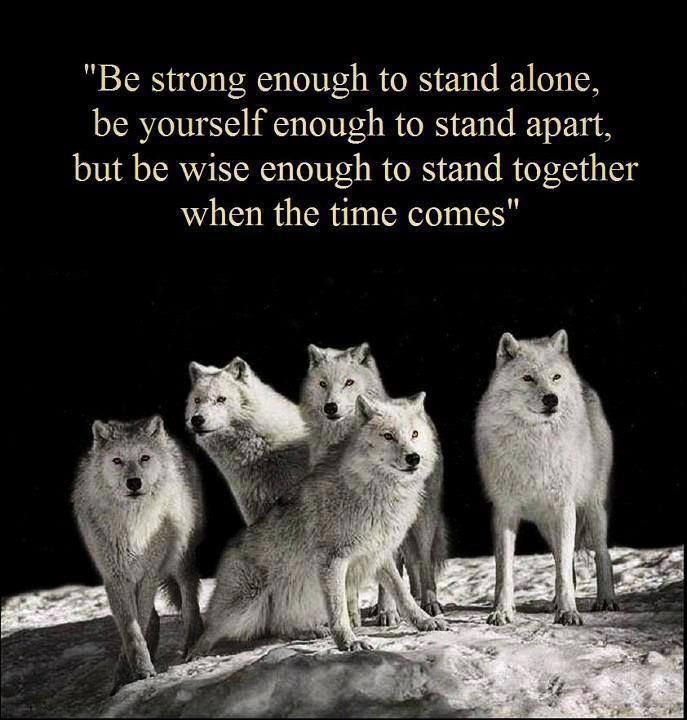 domjjd's tweet photo. @CoachWillT @Oaklandsball  #Wolfpack https://t.co/8uyHWkolAi