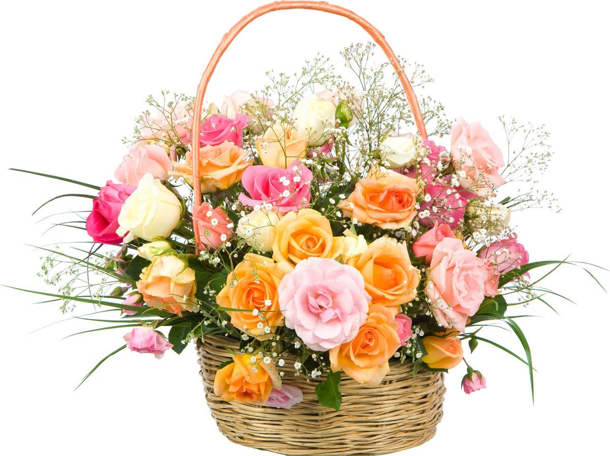 MAnsaaari's tweet photo. #فخامه_عنزي_نال_شاره_الترجمه
#TTC_AR
@F5M_Al3nzi
ألف ألف مبروك مترجمنا الغالي
إنجاز رائع ونجاحات باهرة
بشهادة الجميع
دمت موفقا
#قروب_الرقي🍀 https://t.co/gM2z0LsCWx