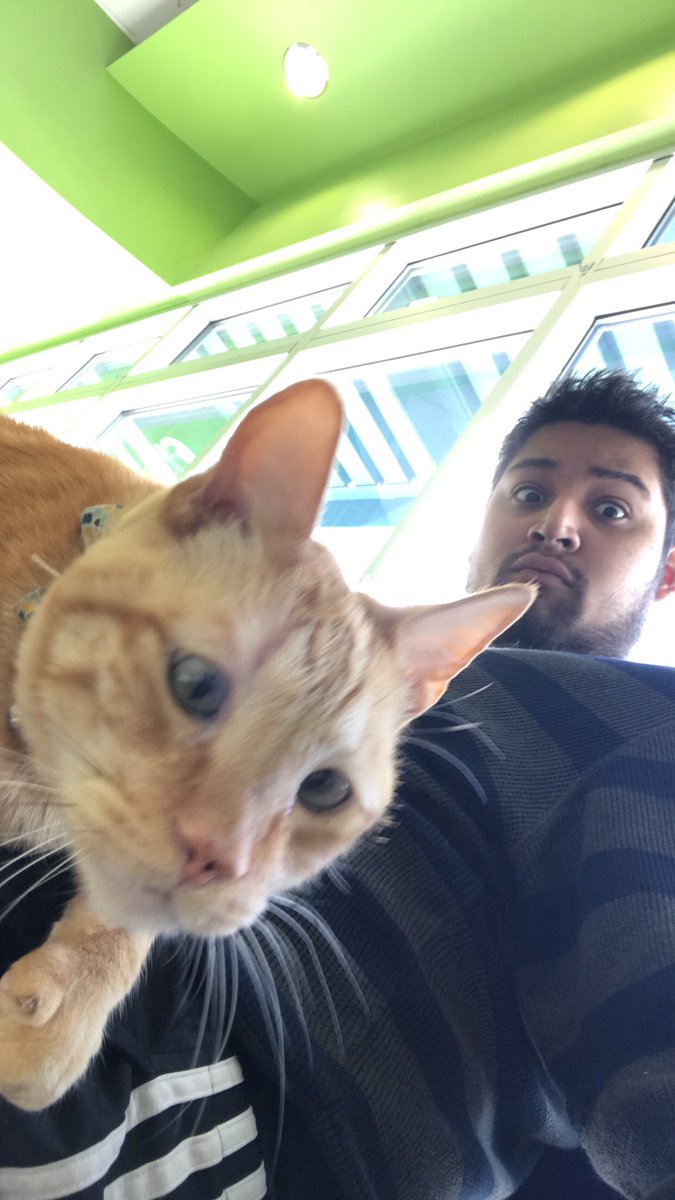 NickyNicardo's tweet photo. Made a new friend at the vet today #hikitty https://t.co/K6PRsub0p9