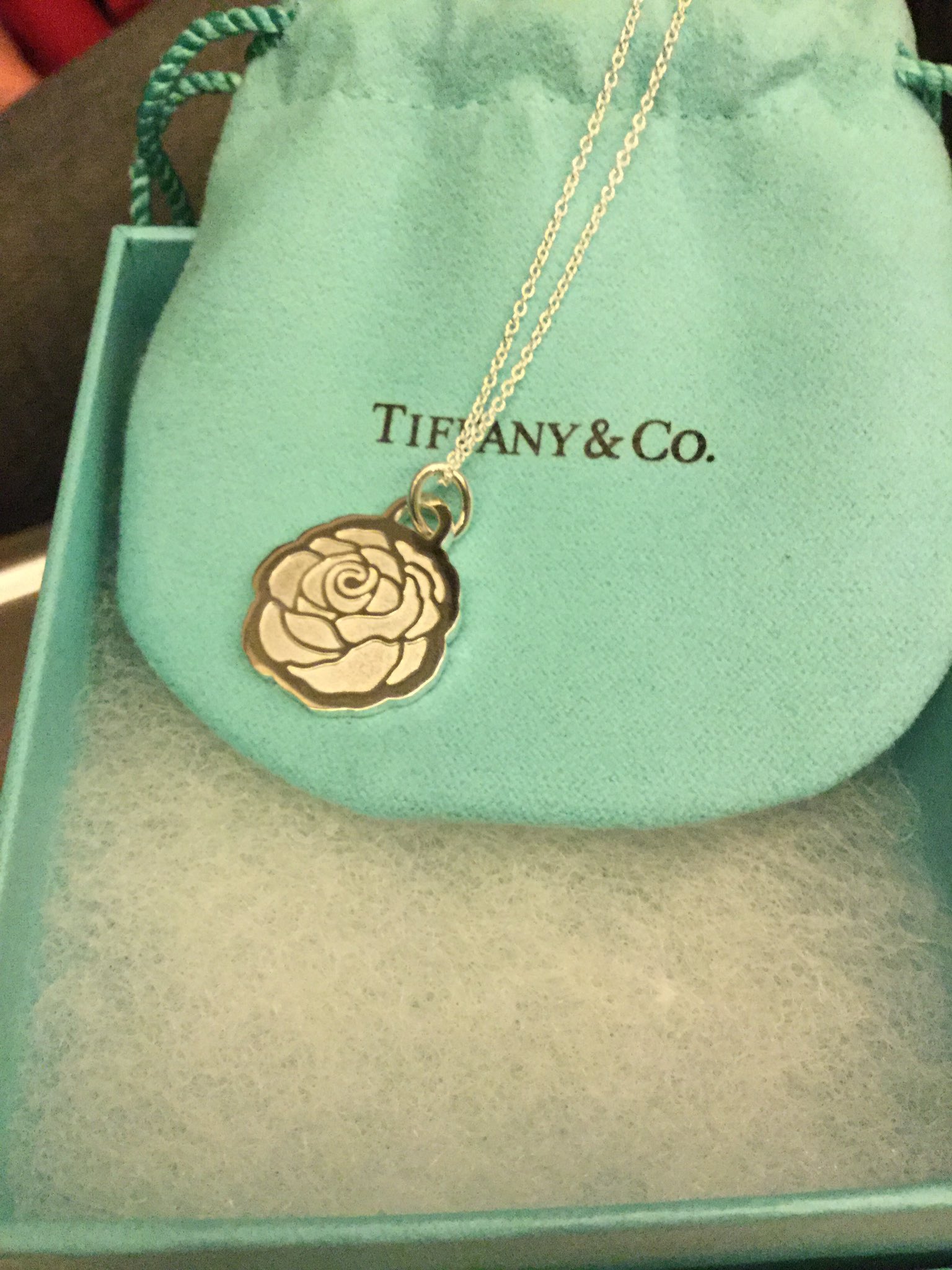 Andrea Clements on X Ran the Nagoya Women s marathon this weekend and instead of the finisher s medal you get a pendant from Tiffany s. https t ZHfP4LVyHQ X