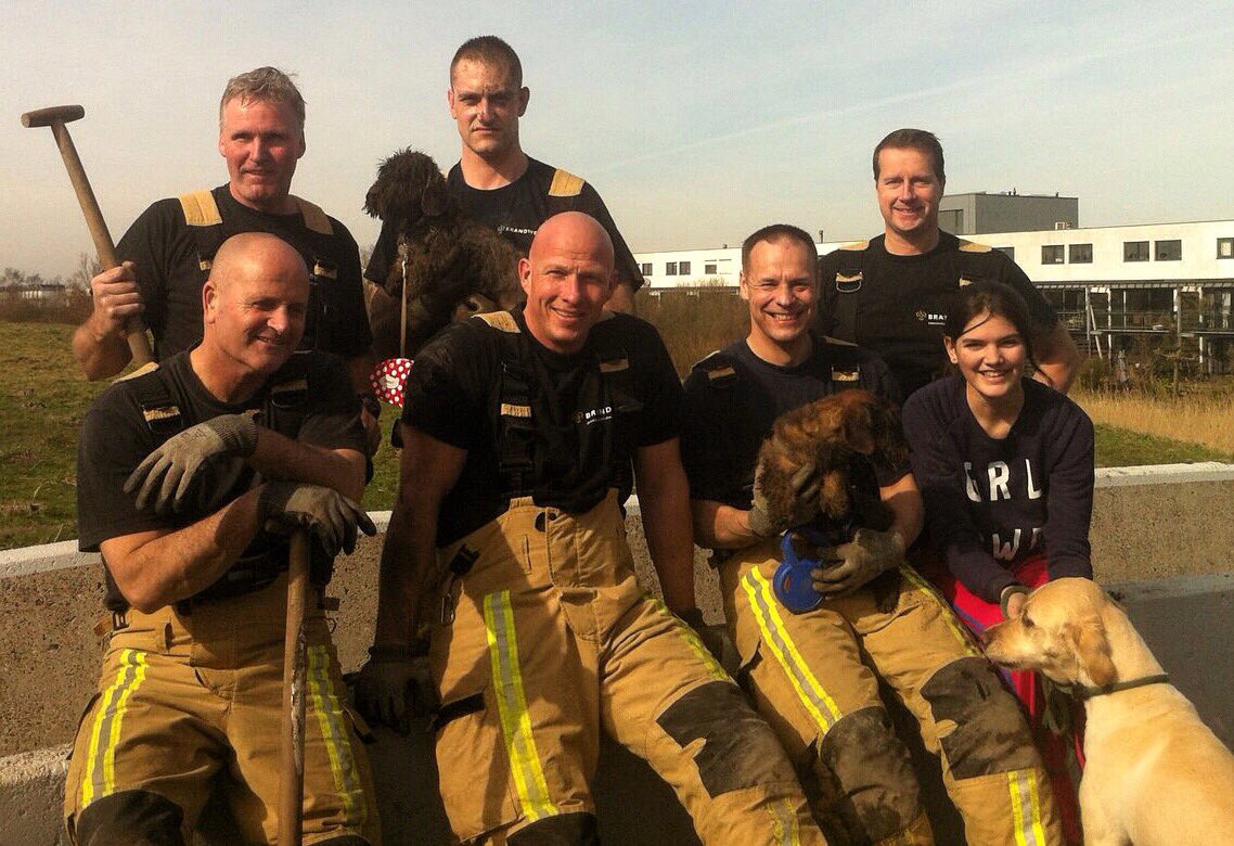 Brandweer bevrijdt twee teckels uit konijnenhol. Dieren maken het goed.