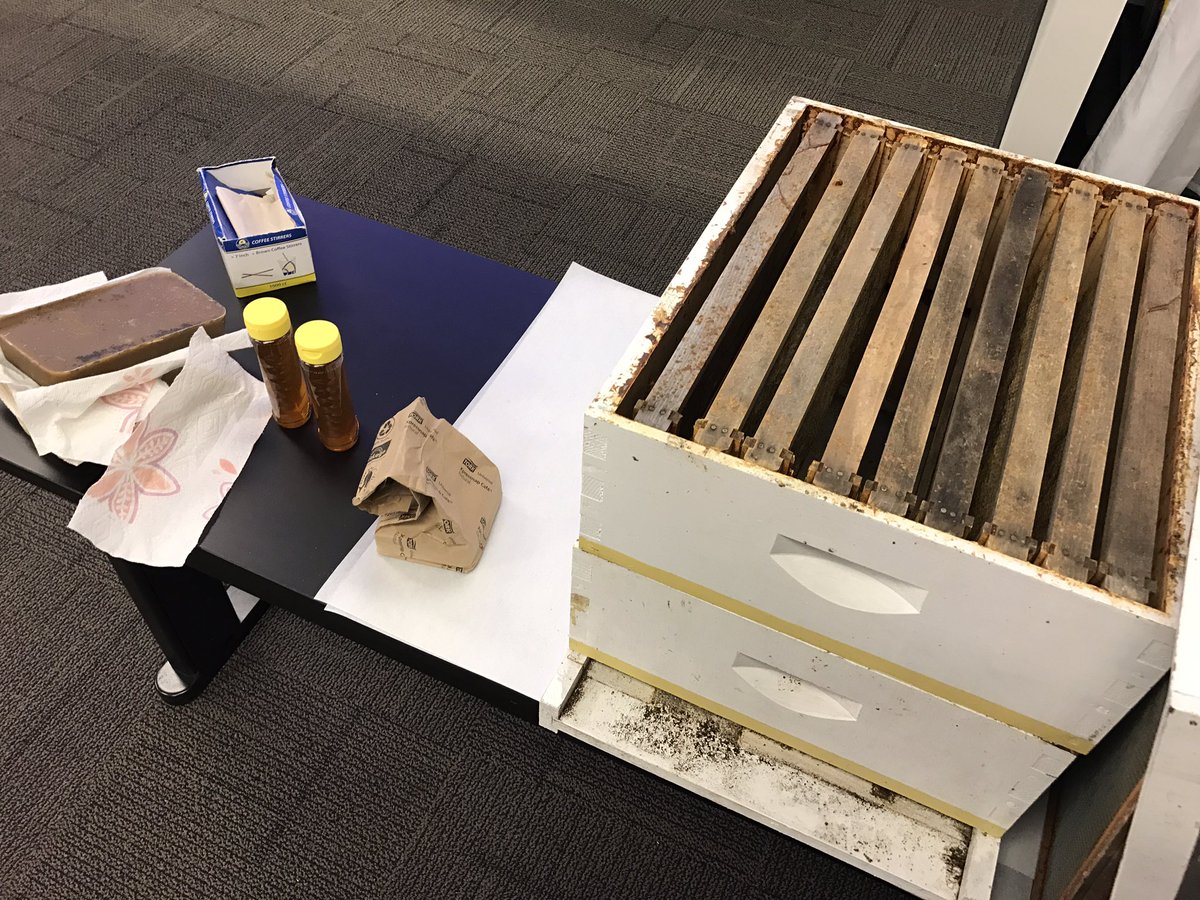 pcg_charlotte's tweet photo. Coming up: #HalfCow #Butchery w @brinedandcured, Paul Malcolm, & @wildturkeyfarms + #Bees & Honey w James Bowen #PCGsymposium #AllShipsRise https://t.co/dCF3Y3OwzQ