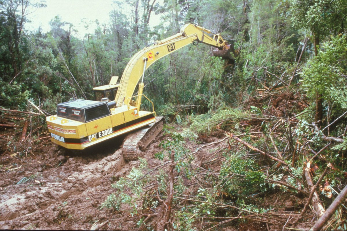 WestPapua on Twitter: "#WestPapua They go in and bulldoze the ...