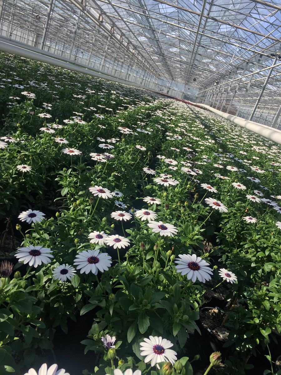 Hier krijg je toch #lentekriebels van😎 #lenteupdate #wateenweertje