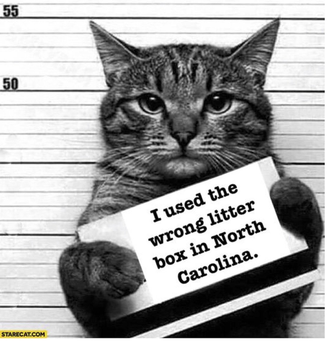 alysseaallyn's tweet image. #WrongBox