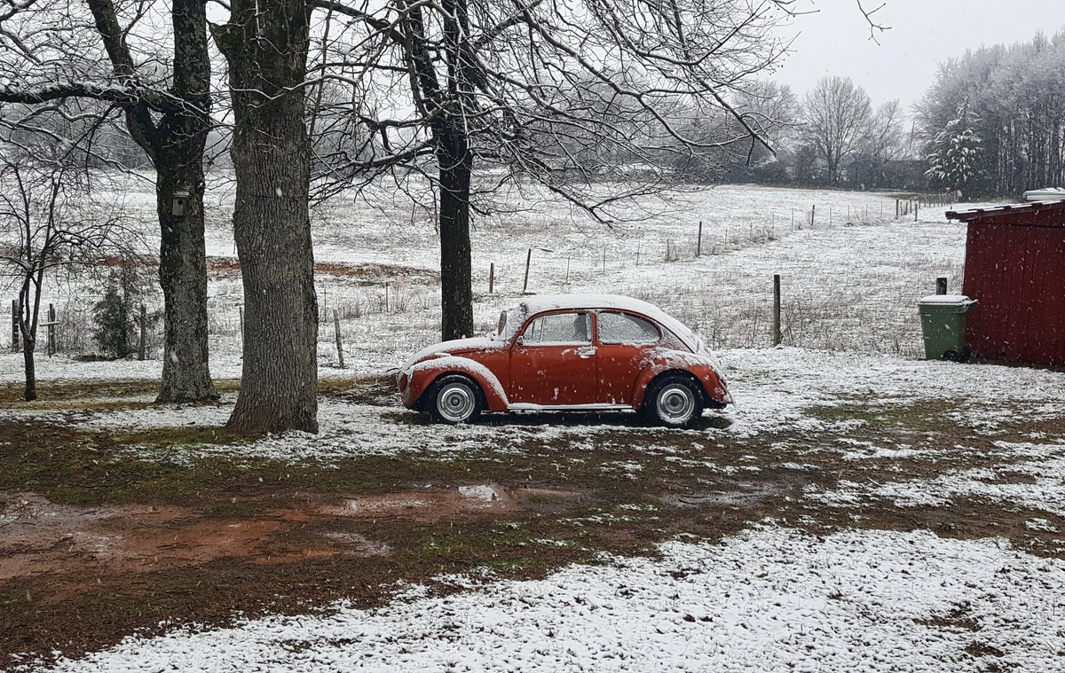 MellifluousW's tweet photo. Snow Bug. This is a Southern snow day. #snowday #VWBeetle #Volkswagen #snowedin. 😂😂 https://t.co/uceJBAj86g
