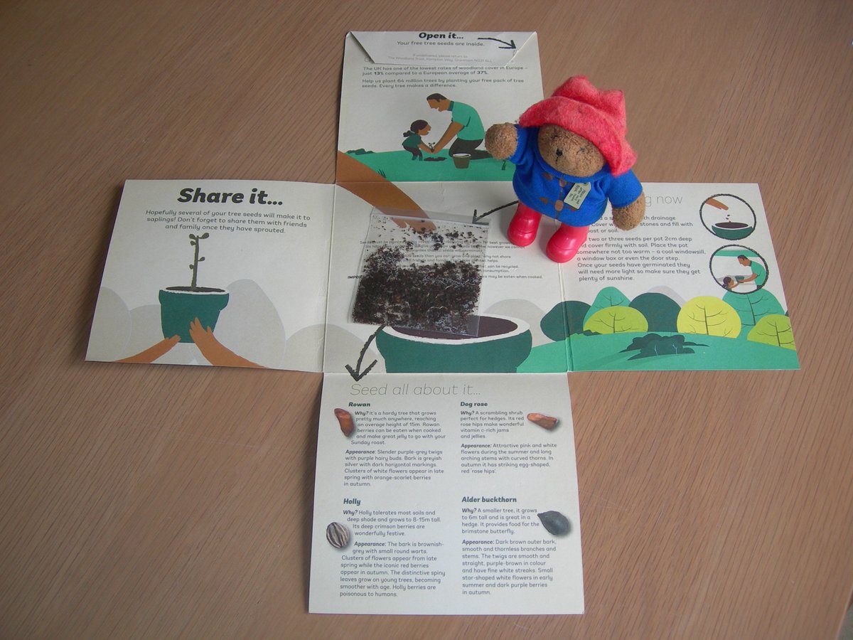 MrPB_Esq's tweet photo. Thank you! My seed pack has arrived! Rowan Holly Dog Rose Alder Buckthorn #64MTrees Sycamore Gap #TreeOfTheYear #EuropeanTreeOfTheYear https://t.co/HdX67pwr6E