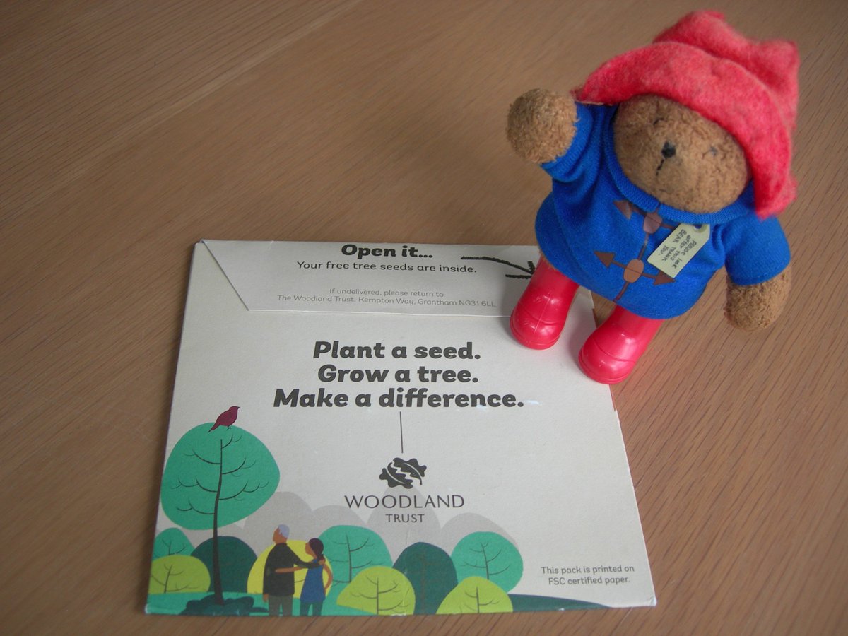 MrPB_Esq's tweet photo. Thank you! My seed pack has arrived! Rowan Holly Dog Rose Alder Buckthorn #64MTrees Sycamore Gap #TreeOfTheYear #EuropeanTreeOfTheYear https://t.co/HdX67pwr6E