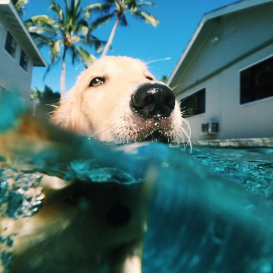 iIoveaesthetics's tweet photo. need some weather like this https://t.co/8d1Bl5etwT