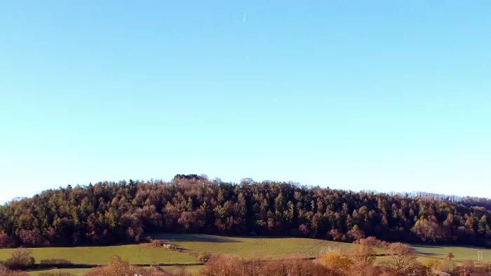 ftproperty's tweet photo. Forget property, should we all be investing in trees? #Forestry #GrowingOnTrees https://t.co/RwAZHkMuIM https://t.co/E0LHdiJi8B