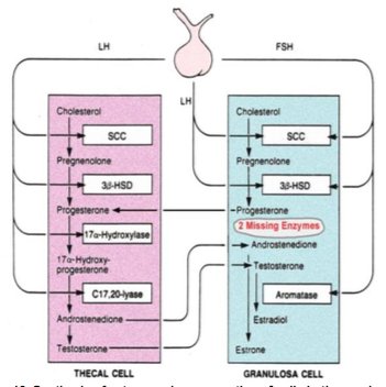 download physikalisch technische grundlagen für ein system zur überwachung des startvorganges bei großflugzeugen 1968