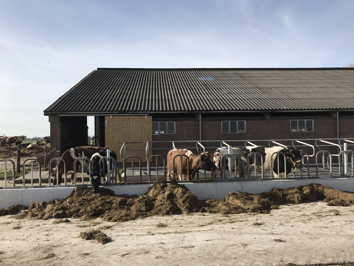 Nieuwe stal in gebruik genomen