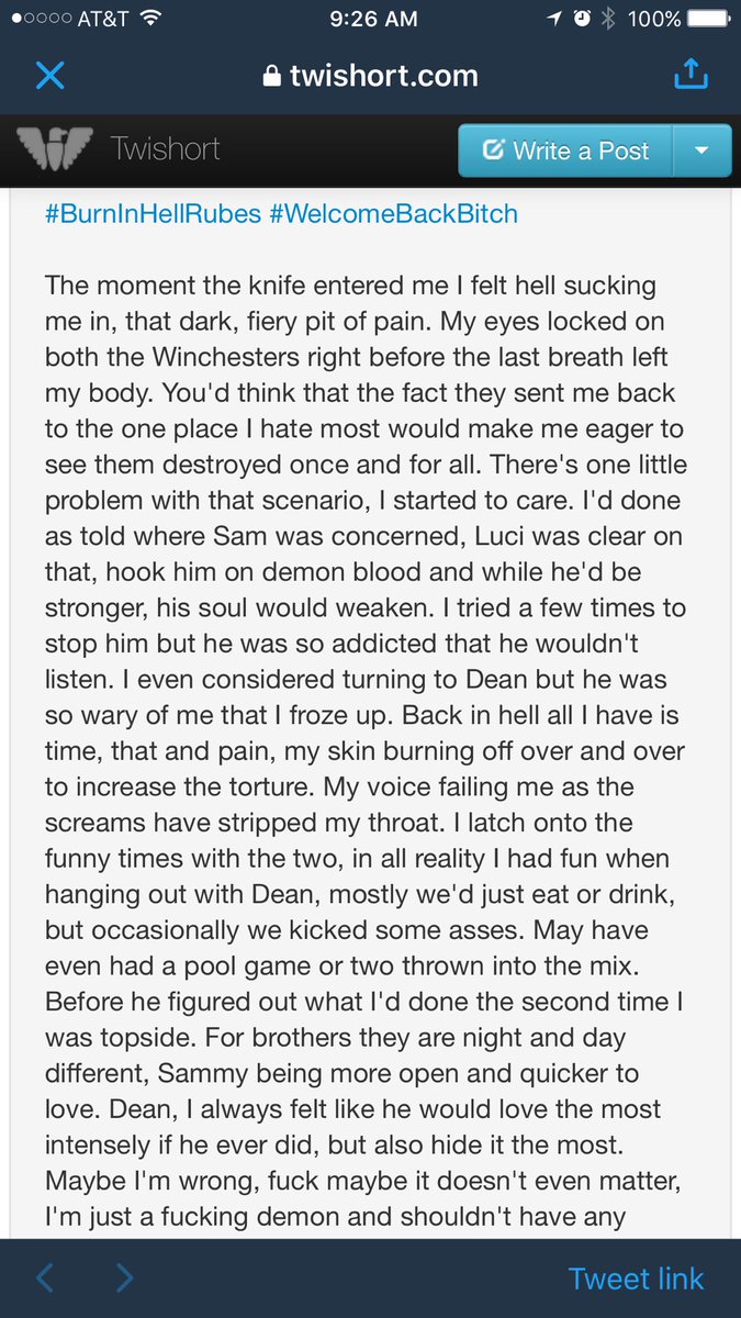 Ruby_DemonHeart's tweet image. Character info and backstory.
Highly AU.
#Reserved
Possible twisted triangle.