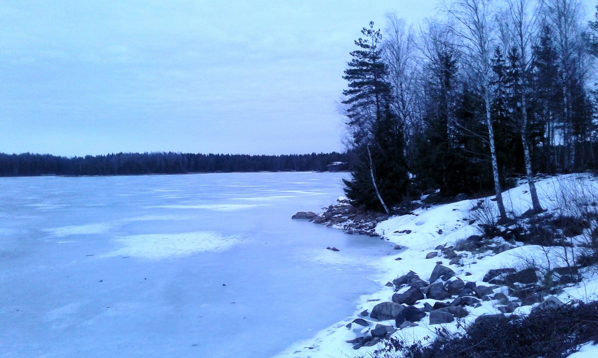 Luonto on niin kaunis ja rauhoittava talvellakin. Irti arjesta hetkeksi. #raisio #hauninen #luonto