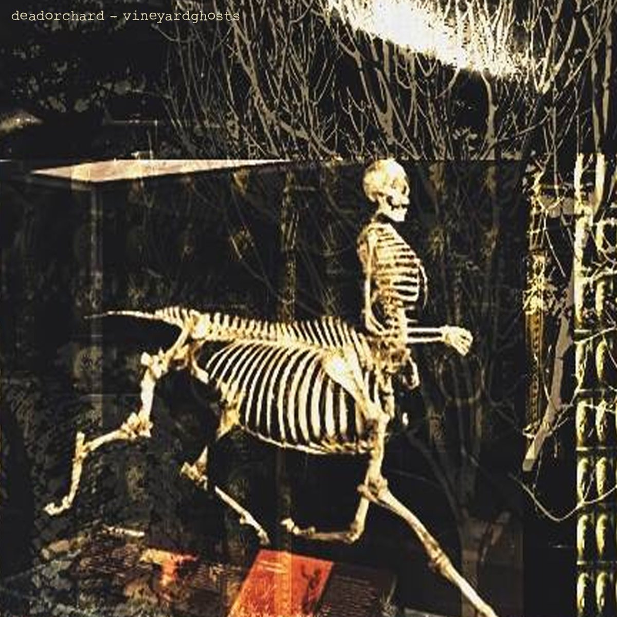 armoredhearse's tweet photo. Cane Corso Records presents vineyardghosts•you can download it for free from our bandcamp https://t.co/rHtsMbwgr3 https://t.co/iMtl7KWtOT
