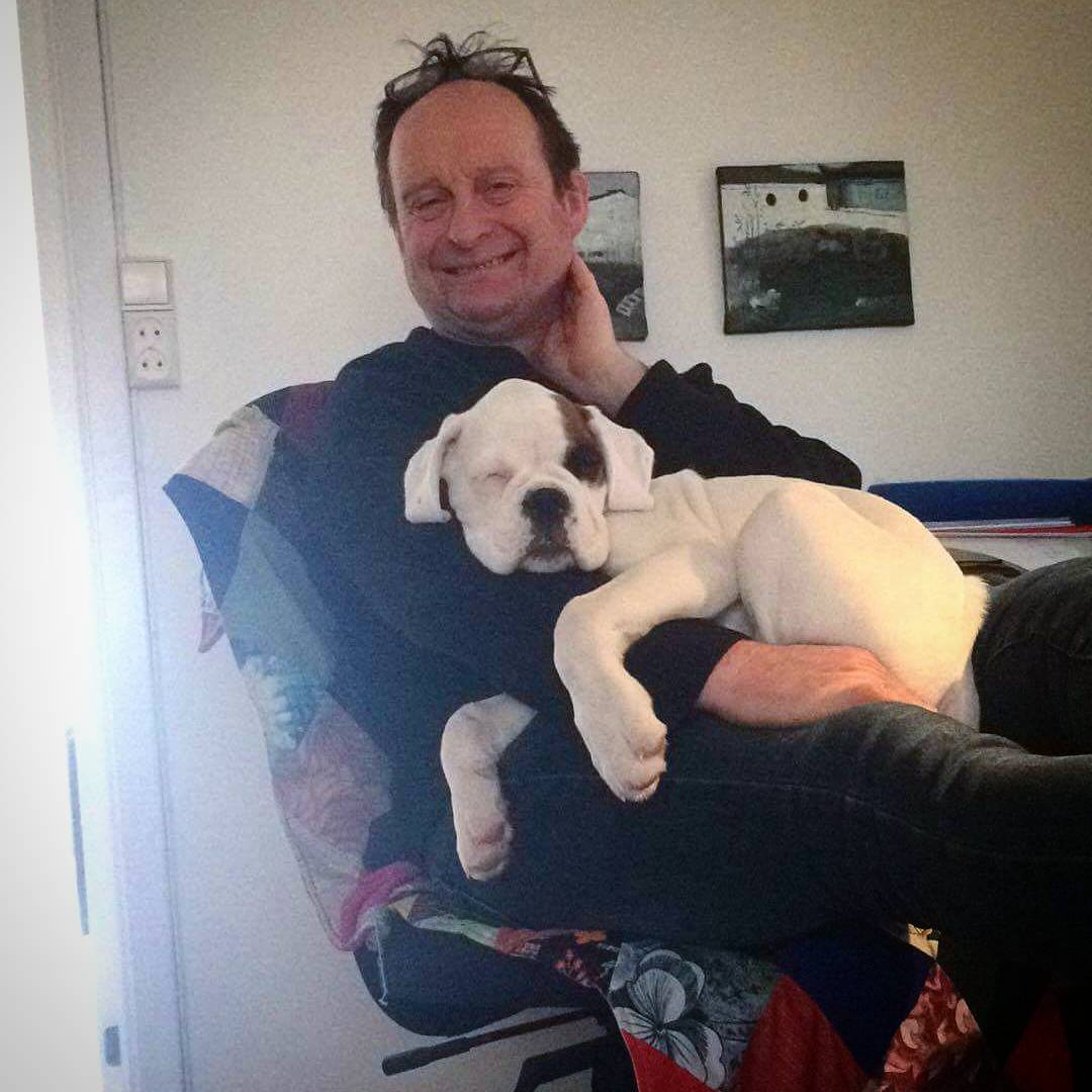 BoxerHope's tweet image. Growing bigger every day!