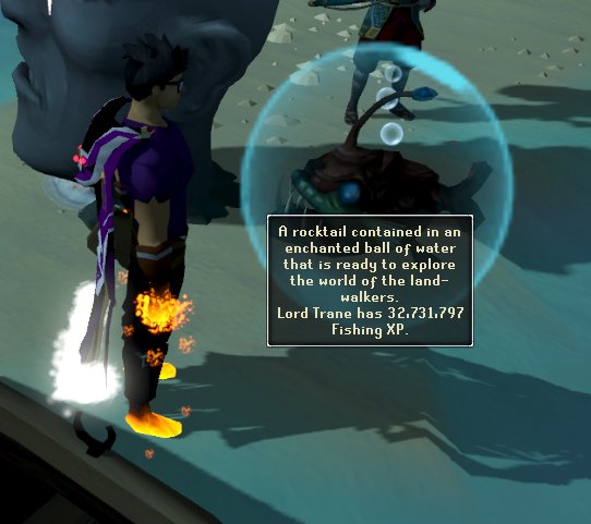 RS_Implode's tweet image. Skilling Pet #4
Bubbles!