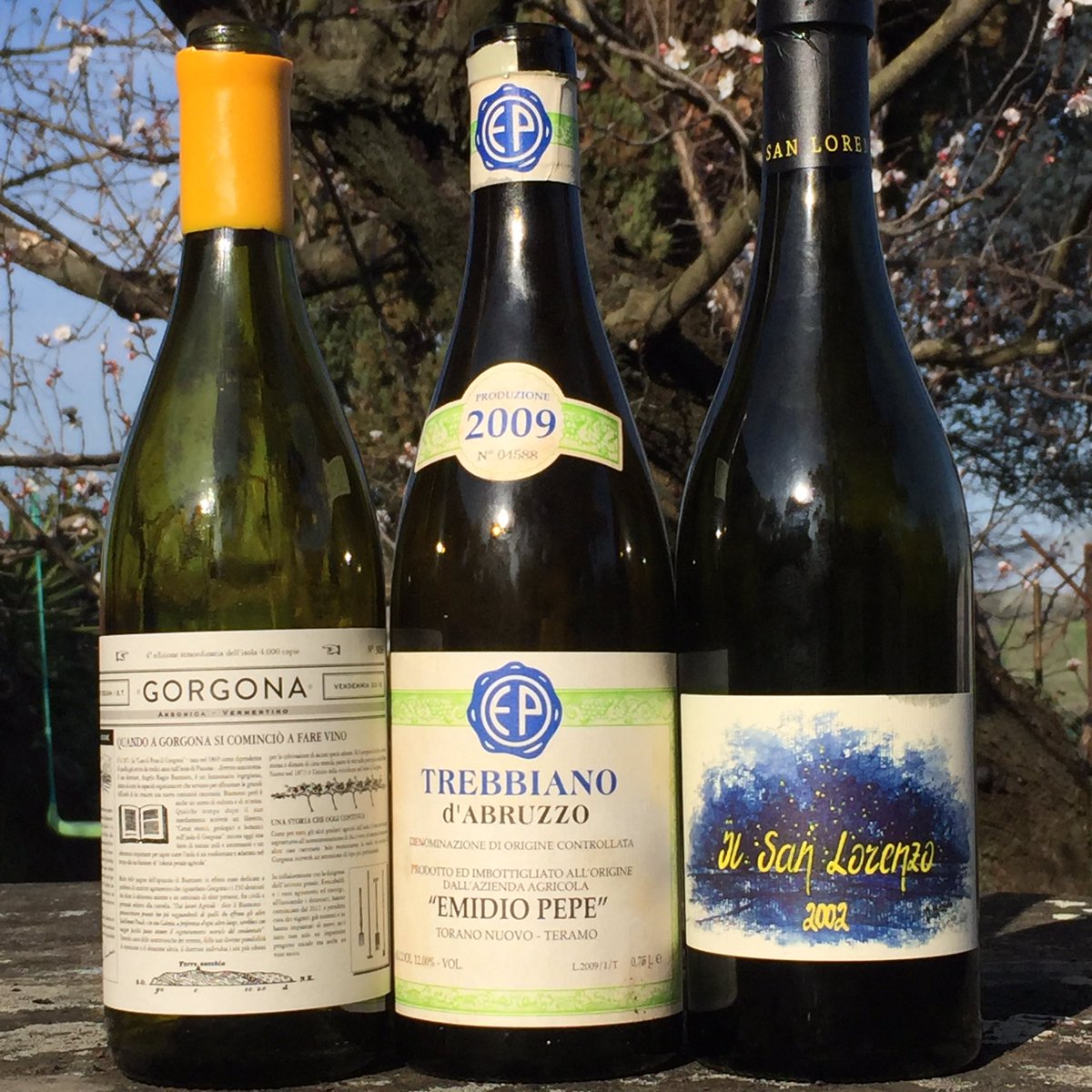 Lorenzo Resta (@cuocinr1) on Twitter photo Pasta con le sarde, sarago ai ferri e qualche buon vino...è arrivata la primavera?? #sanlorenzo #gorgona <a href="/EmidioPepe/">Emidio Pepe</a> <a href="/FrescobaldiVini/">Marchesi Frescobaldi</a> Pasta con le sarde, sarago ai ferri e qualche buon vino...è arrivata la primavera?? #sanlorenzo #gorgona <a href="/EmidioPepe/">Emidio Pepe</a> <a href="/FrescobaldiVini/">Marchesi Frescobaldi</a>