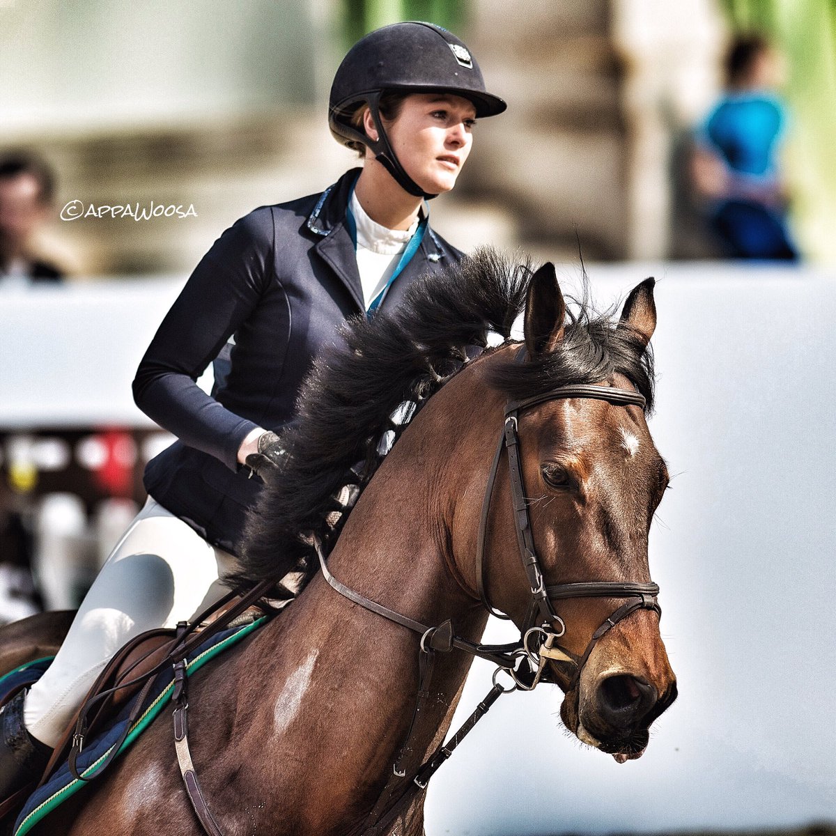 appaWoosa tweet media