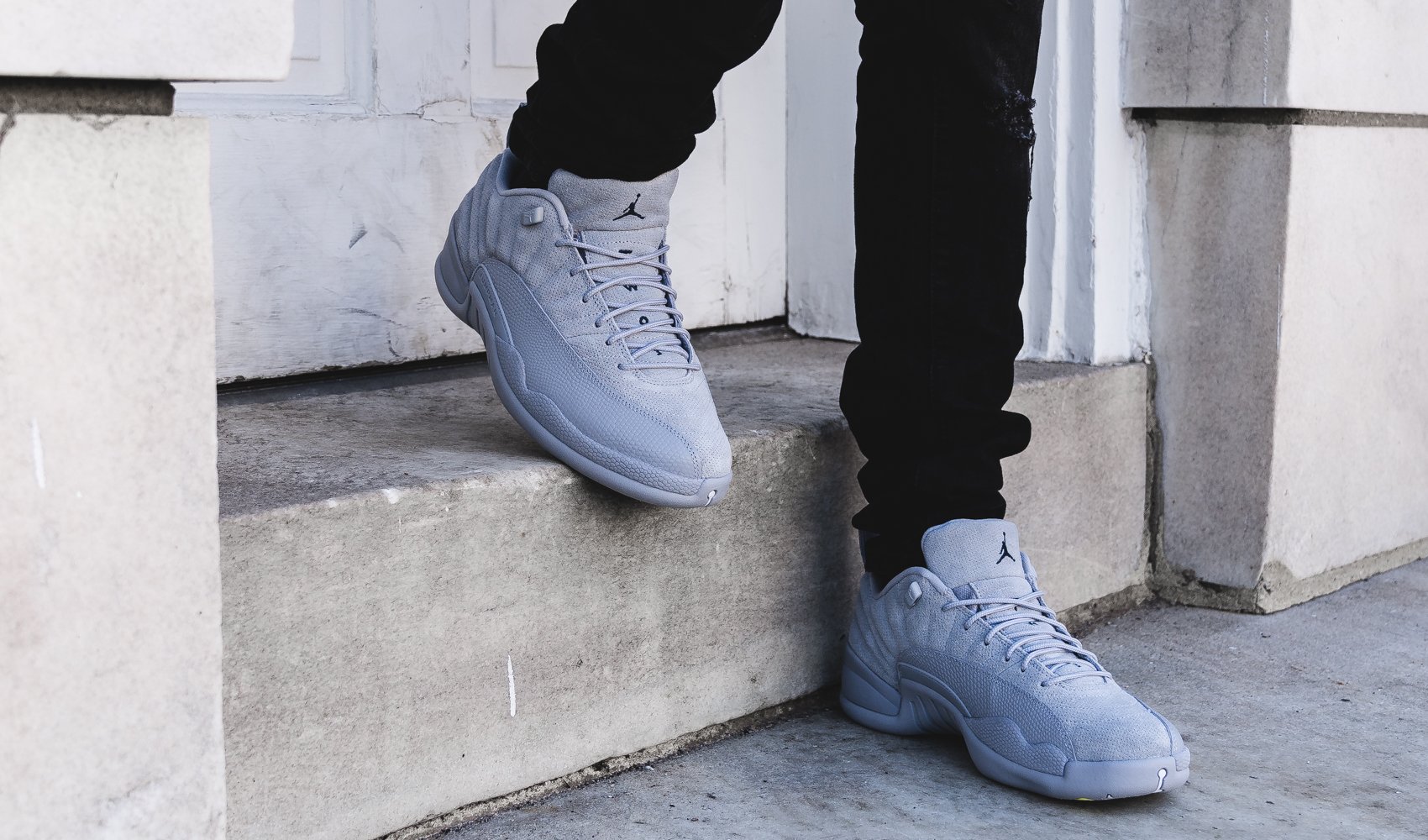 wolf grey 12 a