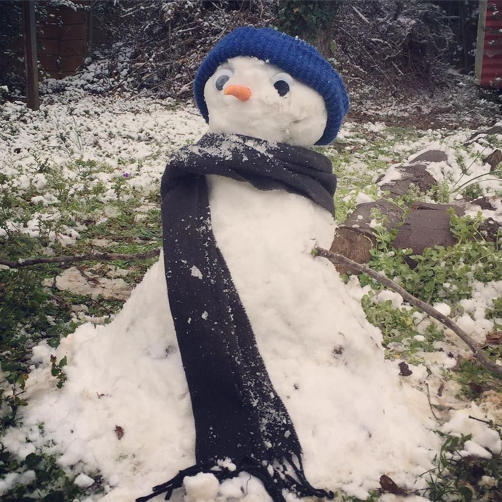 rwitch80's tweet photo. Barely a snow, but it had to be done https://t.co/v6kTDGb4II https://t.co/O87cT3T0I9