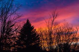 EmilyFoote_'s tweet photo. There's nothing more beautiful than when the sun is setting in Minnesota ☀️❤️ https://t.co/4BYgbXYCwk