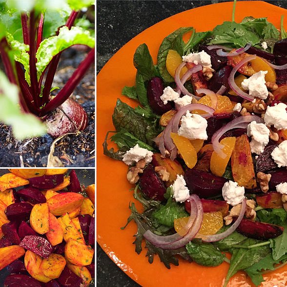 Beautiful Bountiful Beets &amp; grown year round on the Central Coast... Visit theslolane.com for the recipe #theslolane