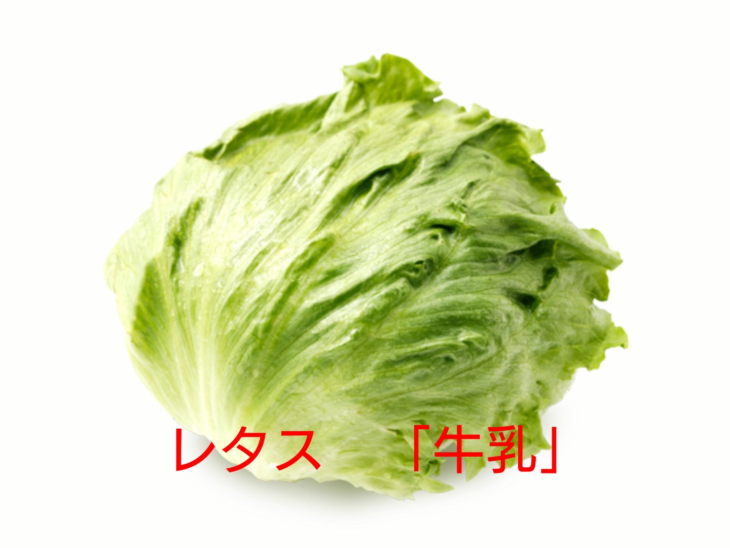 歯肉炎おばけ ブラックベリーは人目を避けるように生え 食べた後に苦さだけが残る事から花言葉 が 嫉妬 になった という逸話が素敵だったので色んな花言葉を調べました T Co Y6li2umywr Twitter