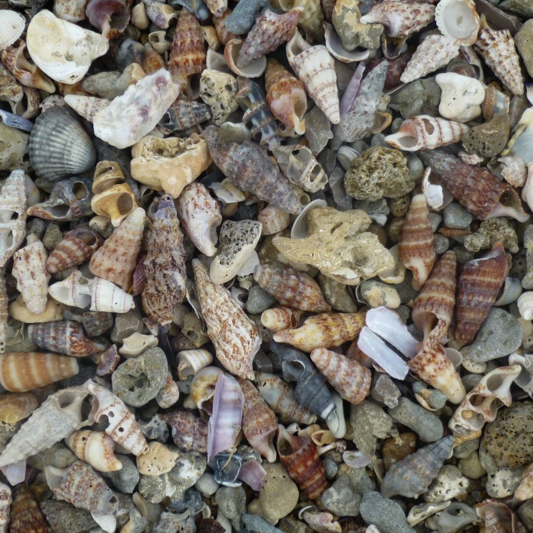 LindseyLangHome's tweet photo. Look at what washed up on this #beach! I can see so many #colours from my #tile range in this little slice of #nature. #ColourInspired https://t.co/CbVmLorOZK