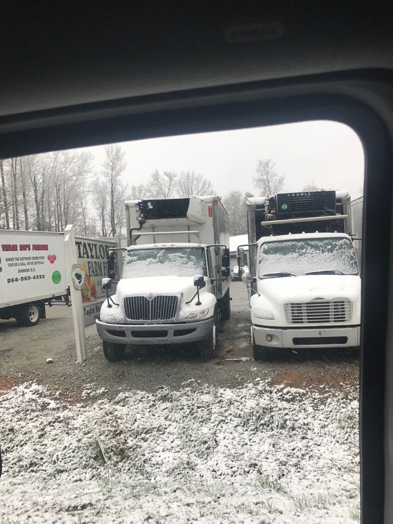 BoysProduce's tweet photo. Beautiful snow fell this am at Taylor Boys Produce! https://t.co/zne48A6cQ1