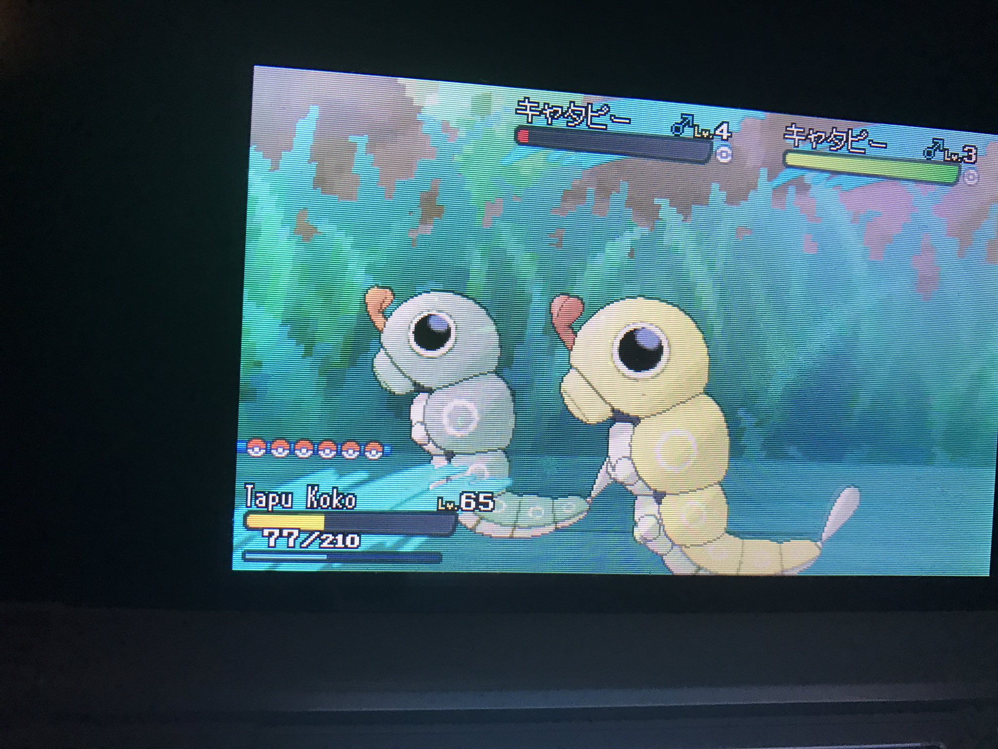 みー ポケモン色違い収集 キャタピー 192で出ました 最近ではかなりかかったほうかも バタフリーに進化させるのが楽しみです ポケモンsm ポケモン色違い 助けを呼ぶ連鎖 キャタピー色違い T Co 1qi6a9izmh Twitter みー ポケモン色違い収集 キャタピー 192で出ました 最近ではかなりかかったほうかも バタフリーに進化させるのが楽しみです ポケモンsm ポケモン色違い 助けを呼ぶ連鎖 キャタピー色違い T Co 1qi6a9izmh Twitter