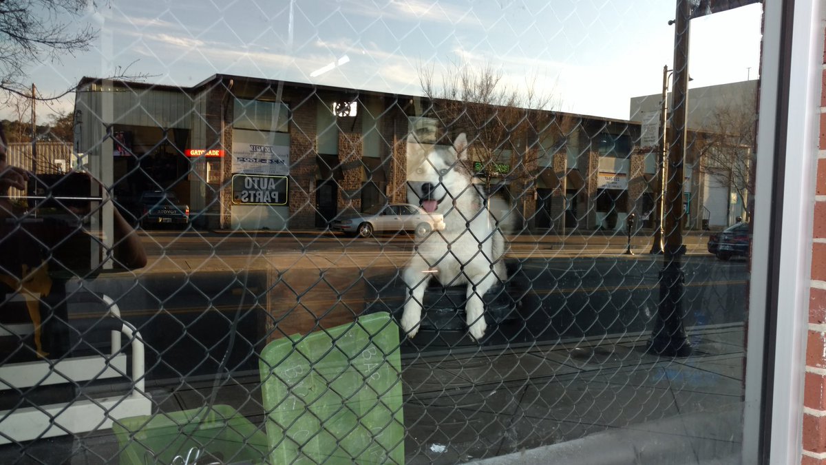 ebjmma22's tweet photo. Kaiya observing#gainestreet from #tfwtallahassee
#mma #conditioning #Huskies #FSU https://t.co/oixFcqVGHa