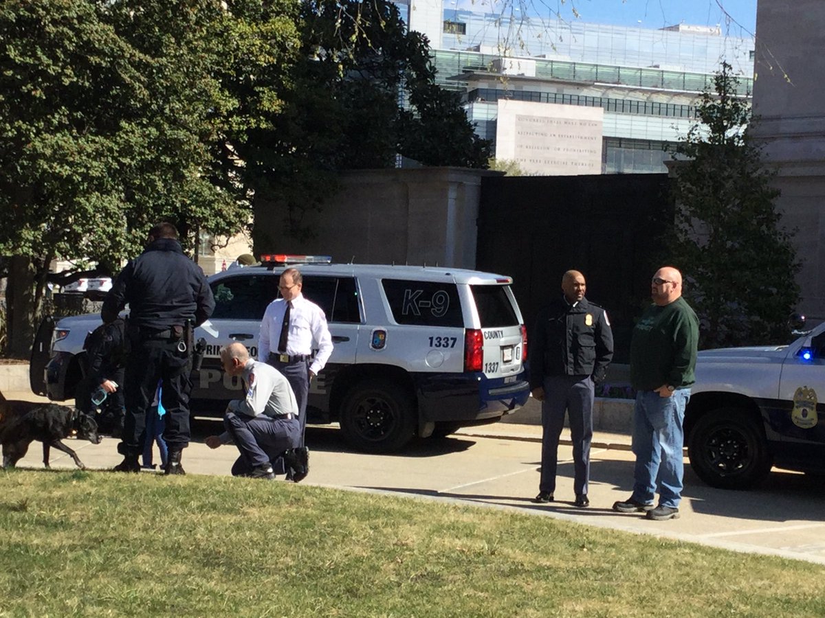 Participating in the St. Paddy's Day Parade