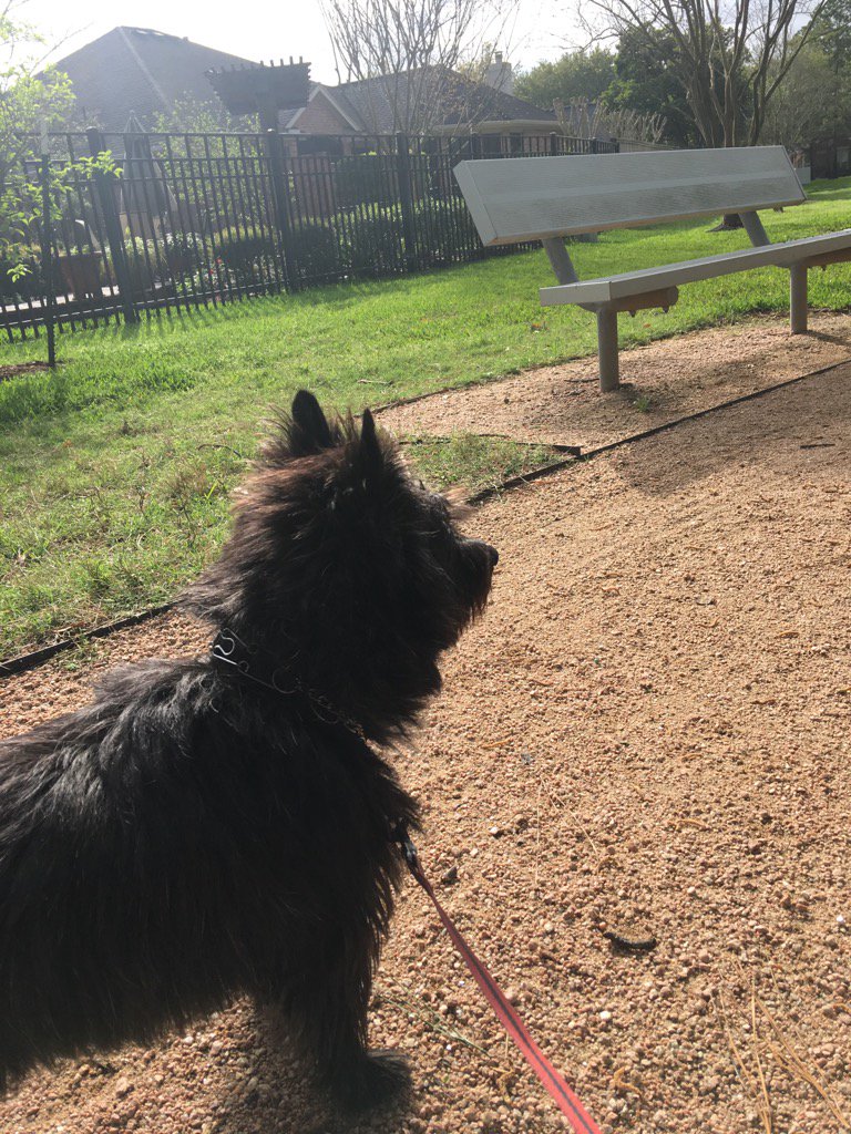 Colonelcairn's tweet image. Attention!! #ZSHQ RaaAAA!