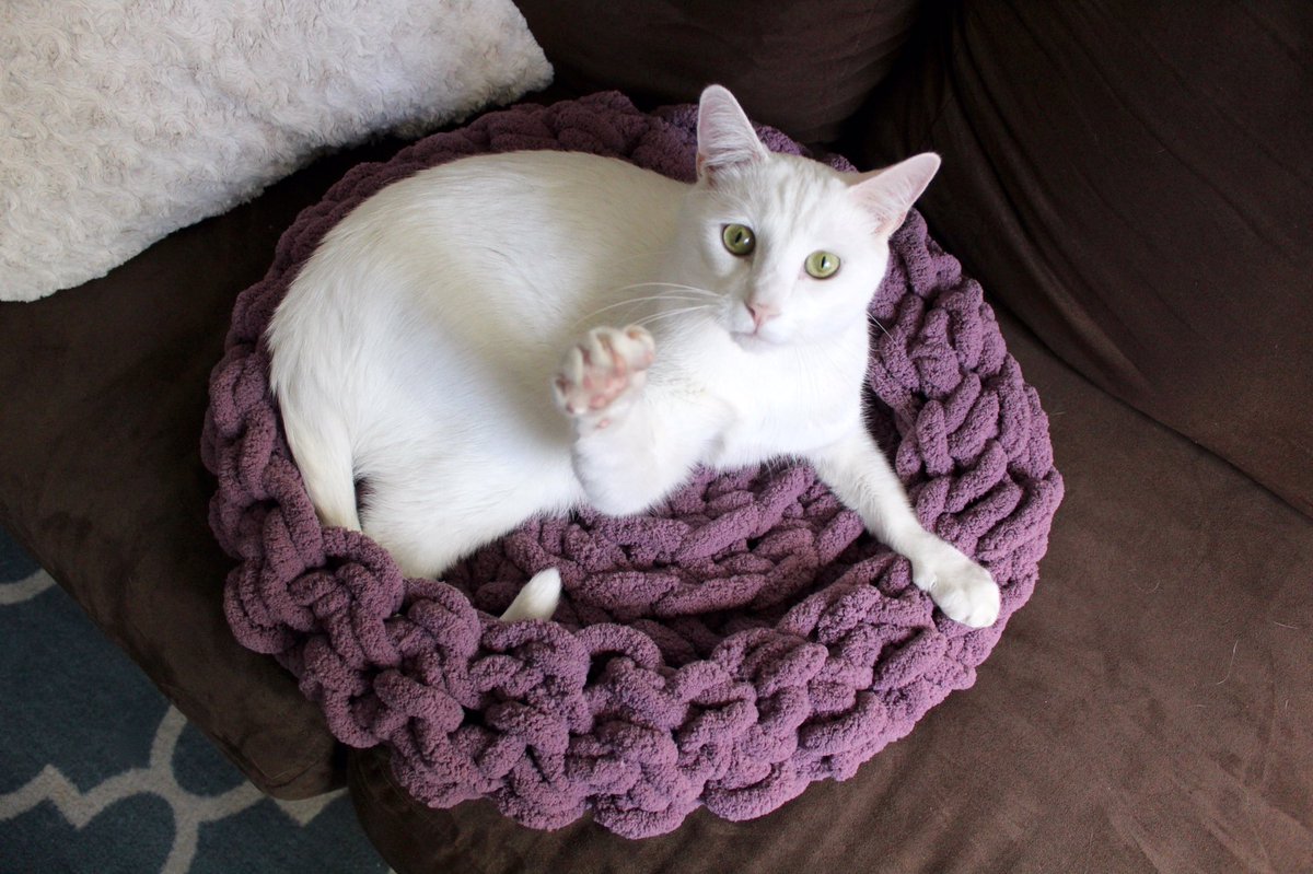 thrasher_cat's tweet photo. Enjoying #TheCatNest that my mom made! 😻💜 if you're interested in having on send us a message! https://t.co/3j5WW4HaA8