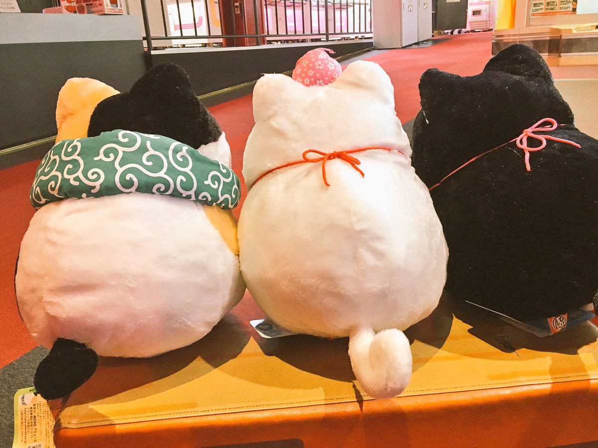 ひげまんじゅうBIGぬいぐるみ2体set 3種セット！ひげまんじゅう 福