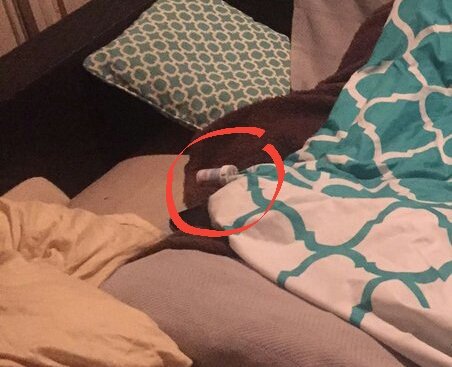 Gracie_Raw's tweet photo. I was wondering if you would lend your support to #savepookie, @RawRadioNews? Her papa leaves pill bottles out where dogs can get to them. https://t.co/q6zqoGeVuC