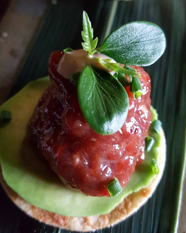 CDLCBarcelona's tweet photo. by carlitosshake
Tuna toast, avocado,Spicy mayonnaise and sprouts!! #cdlcbarcelona #tuna #topcheff #foodlovers #lifestyle https://t.co/CCS3MIWBAO